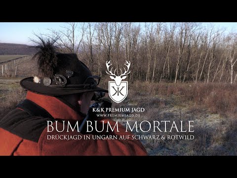 5 Stück in einem Treiben! - Drückjagd in Ungarn auf Schwarz, Rot und Damwild