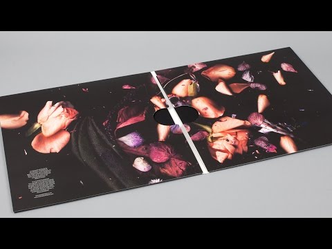 Guy Andrews - All Our Flaws [Houndstooth]