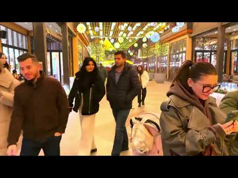 Liya Barseghyan - Nor Tari (Official Mood Video)