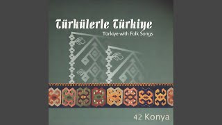 Elmaların Yongası