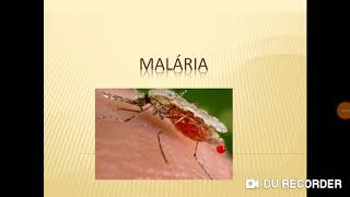 Malária - características, sintomas e prevenção