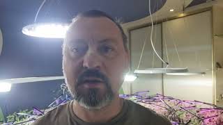 AM FORTRESS | Image 2 - Agroline