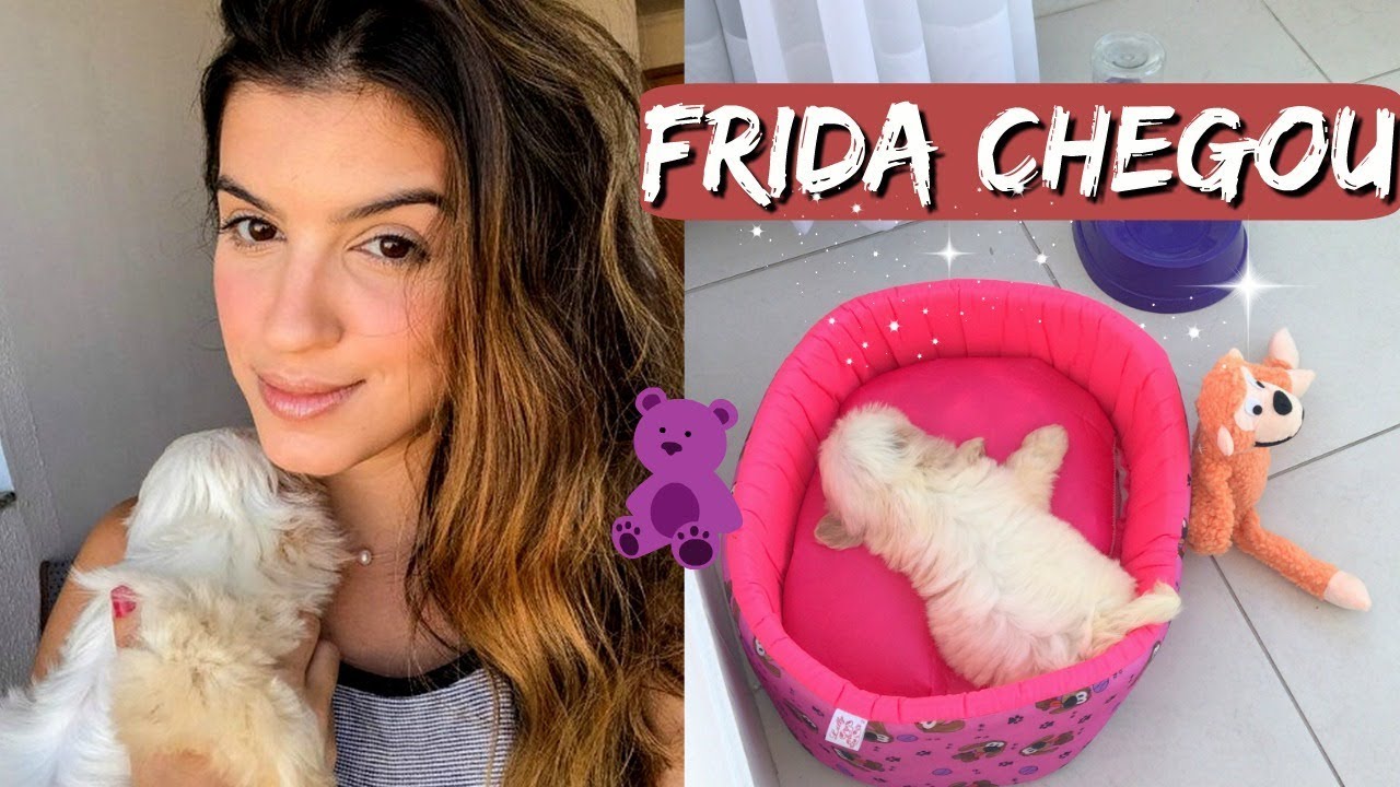 1° DIA COM MINHA CACHORRINHA FILHOTE!