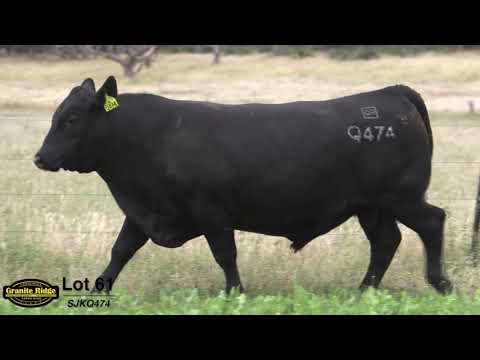 GRANITE RIDGE QUIDS Q474