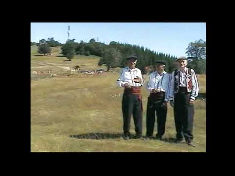 Trio Veselinovi - Baba s kolci vrata zapinjala
