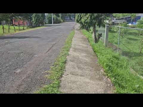 Carretera principal de Río de Jesús en Veraguas, septiembre 2025