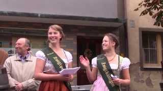 preview picture of video 'Kommunbrautag 2014 in Neuhaus WN bei Windischeschenbach'