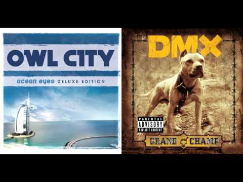 Owl City vs. DMX - "X Gon' Give It To Ten Million Fireflies" [Mashup]