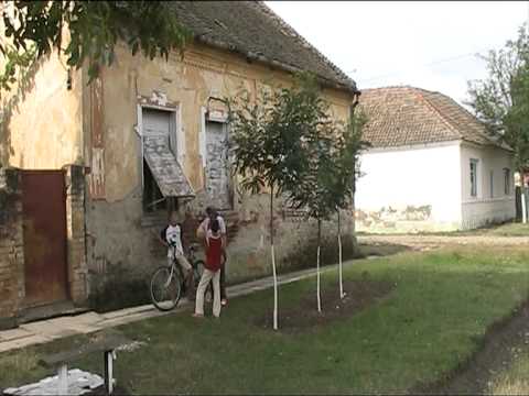 in dr Großgass. Dolatz Banat