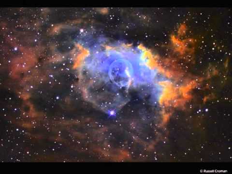 Future Breeze - Heulender Wolf (Le Petit Prince)