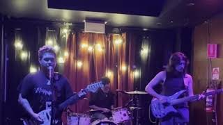 Pigs Say (Live at PFR 20/05/2025) - Stickerbomb!