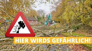Wetter heute: Herbststurm zieht auf! Hier wirds gefährlich