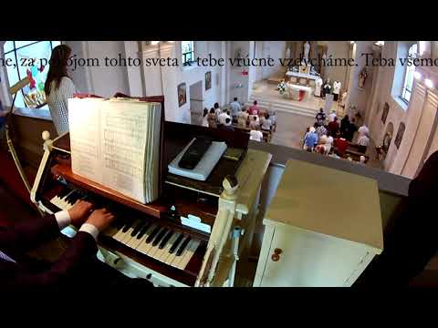 JKS 251 - Pred oltárom (ein Messlied)