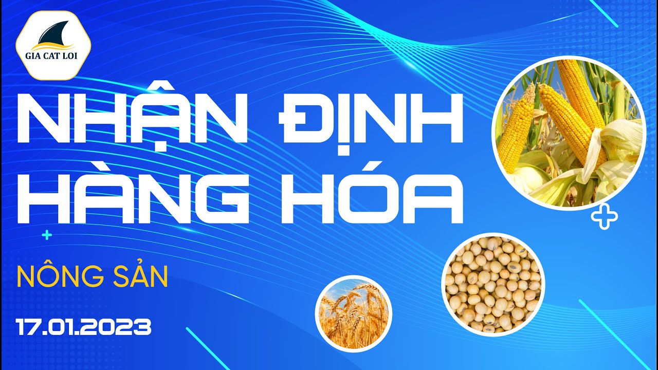 Nhận Định Hàng Hoá Nông Sản Ngày 17/01/2023