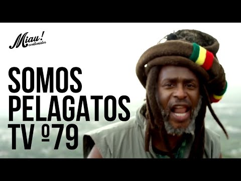 Somos PelaGatos TV - Prog 79 - Steel Pulse, Alika, Children Of Zeus, Fidel Nadal & Bas Tajpan