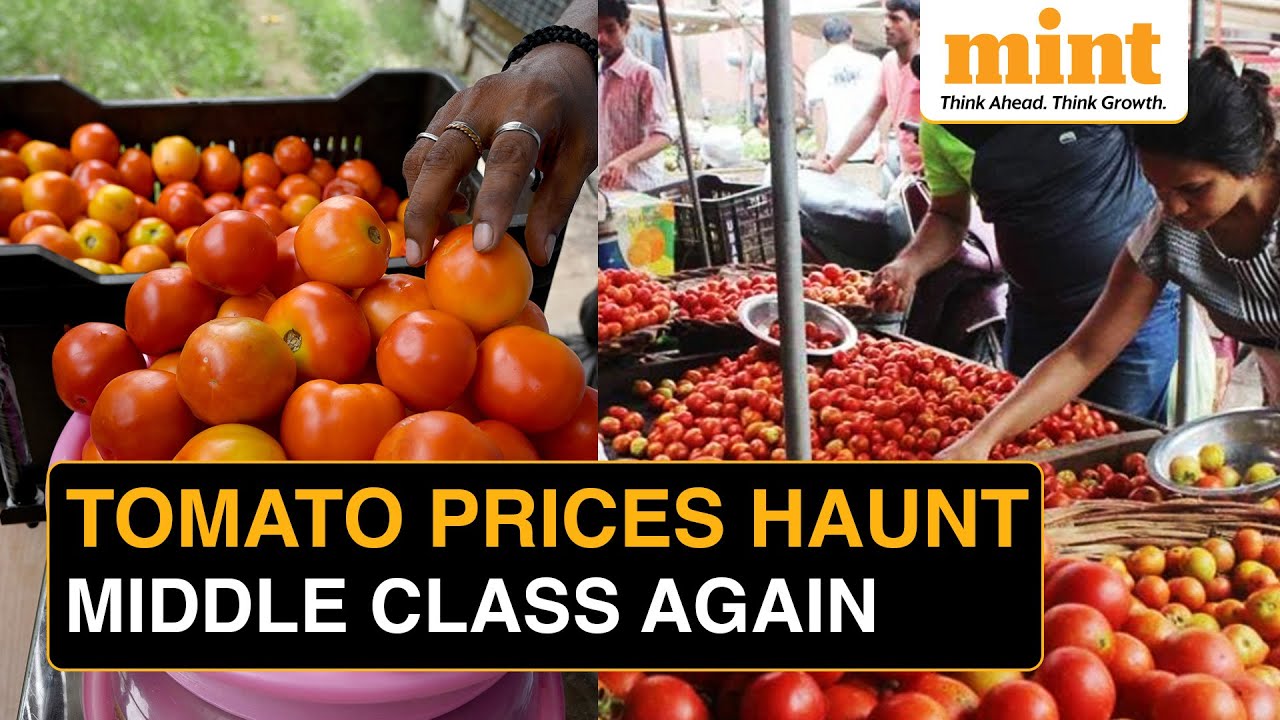 Government To Sell Subsidised Tomato & Onion; Prices Surge Beyond ₹100/Kg