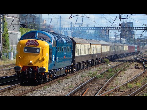 DPS Deltic 55009 'ALYCIDON' returns to the ECML on "The Capital Deltic Reprise" - 29th July 2023