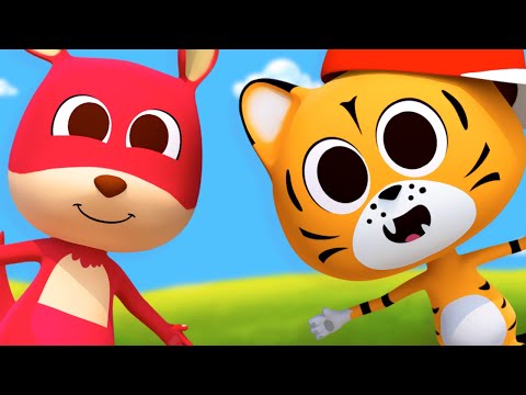 Pata Tigrului | Regatul Copiilor