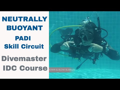 Neutrally Buoyant PADI Skill Circuit - Divemaster and Instructor IDC Course • Updated 2019!