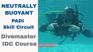 Neutrally Buoyant PADI Skill Circuit - Divemaster and Instructor IDC Course • Updated 2019!