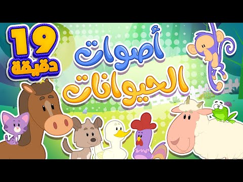أغنية اصوات الحيوانات ومجموعة الأغاني المرحة  | قناة مرح كي جي - Marah KG