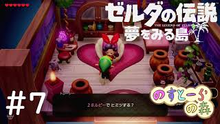 【2人実況】白昼にゼルダの伝説【夢をみる島】＃７