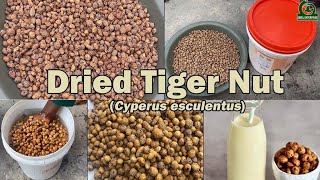 How to soak dried tiger nuts to fresh nuts