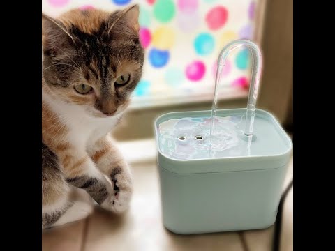 Recirculate Filtring 1 5L USB Electric Cat