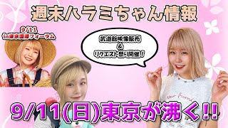 週末ハラミちゃん情報♪リクエスト祭りについてのお知らせ！ほか　～元楽器屋店員の音楽ニュース～