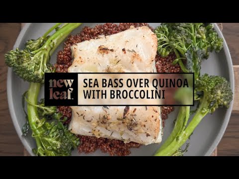 Sea Bass over Quinoa with Broccolini