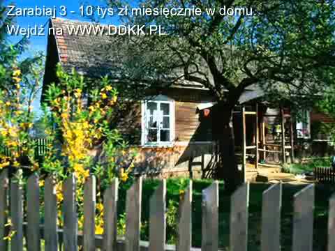 Bayer Full - Polskie Kwiaty