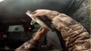 preview picture of video '2013 Walleyes on Lake of the Woods'