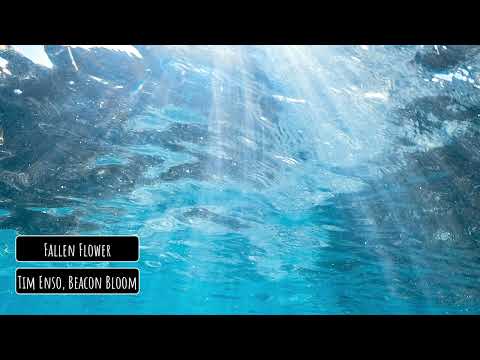 Tim Enso, Beacon Bloom - Fallen Flower