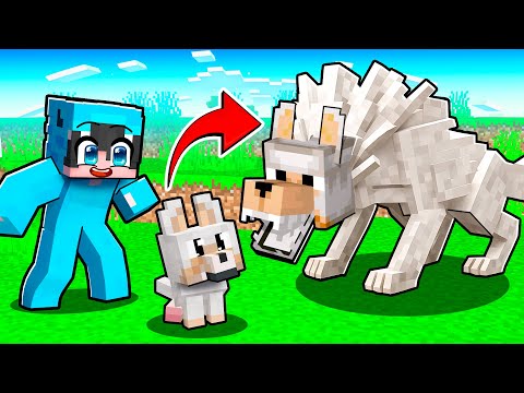 Evolucioné de BEBÉ LOBO a LOBO ALPHA en Minecraft!