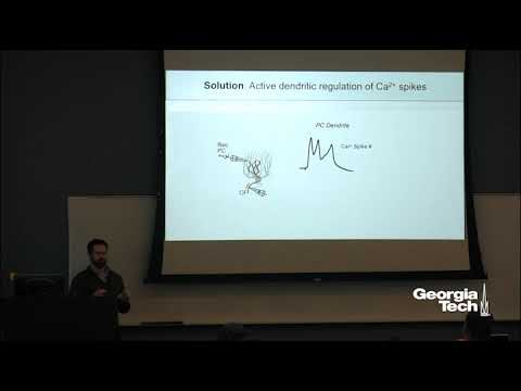Dissection of Neural Circuit Function and Degeneration from a Subcellular Perspective