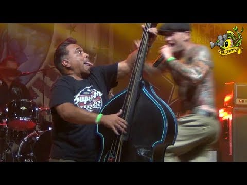 ▲Guana Batz (with Sam Sardi) - I'm on fire - Psychobilly Meeting 2017