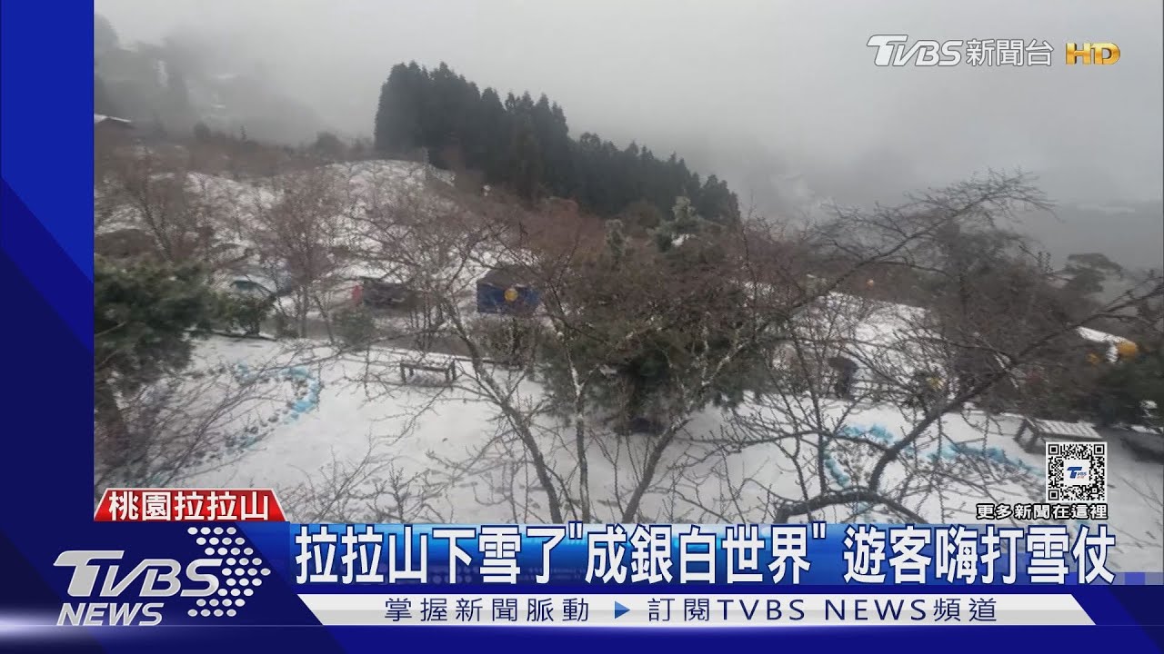 拉拉山下雪了「成銀白世界」　遊客嗨打雪仗