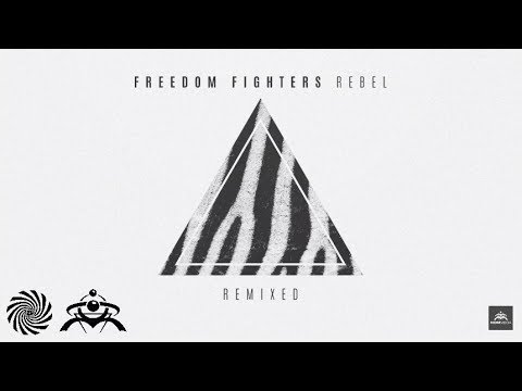 Freedom Fighters & Ryanosaurus - Million Little Pieces (Outsiders remix)