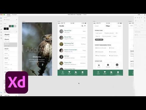 Live UI/UX Design with Meagan Fisher - 2 of 3 | Adobe Creative Cloud