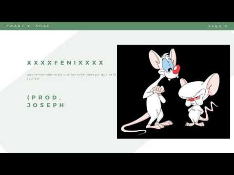 FENIX - Zwars X Isdag