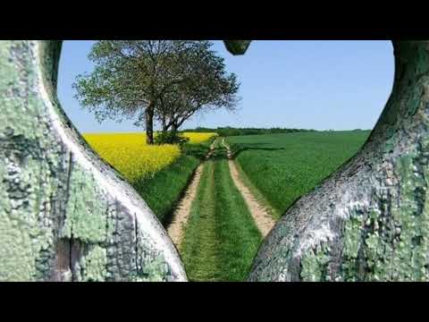 Costa Cordalis         V.K.3.10.