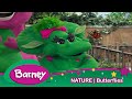 Barney Butterflies NATURE Education For Kids