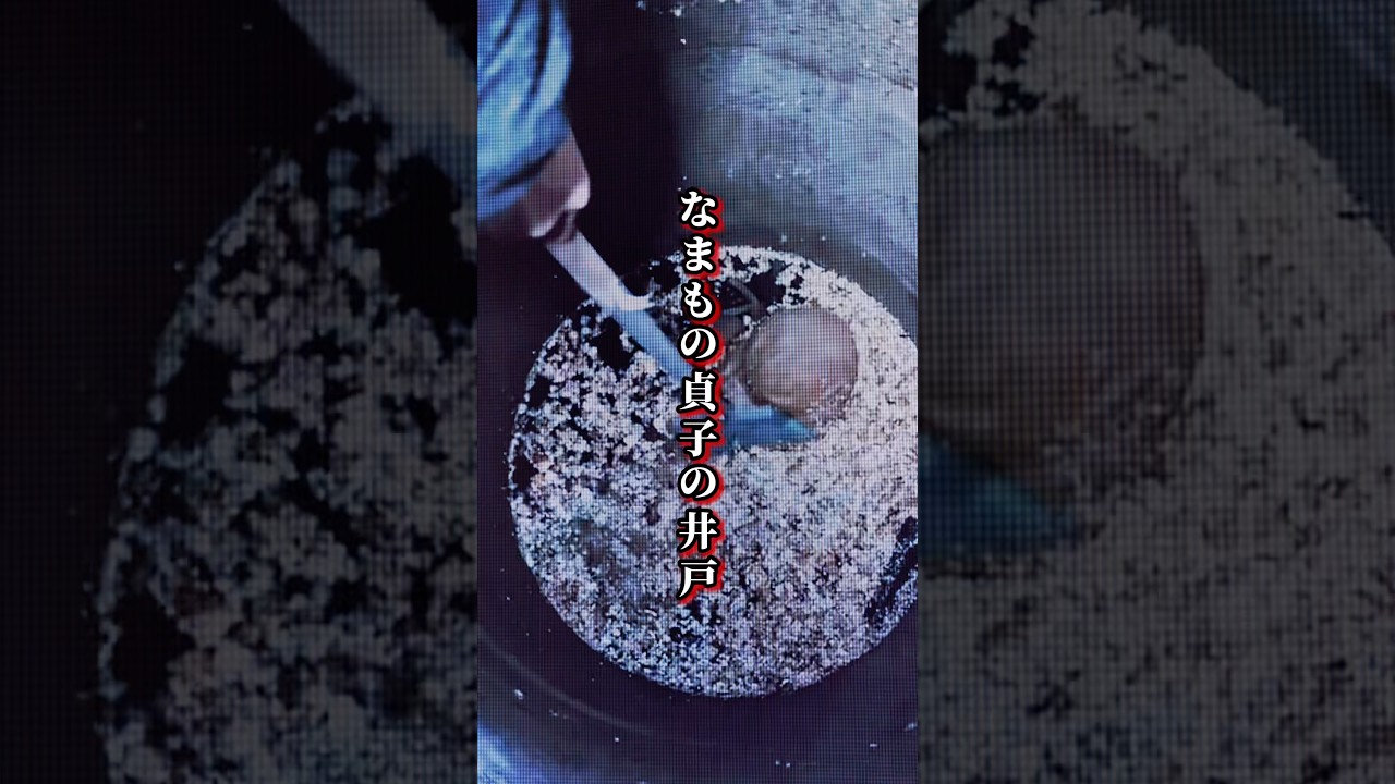 【山ちゃん切り抜き】心霊 前編 SNSで話題 約35年前の…なまもの貞子の井戸 #shorts @yamachan-sekai