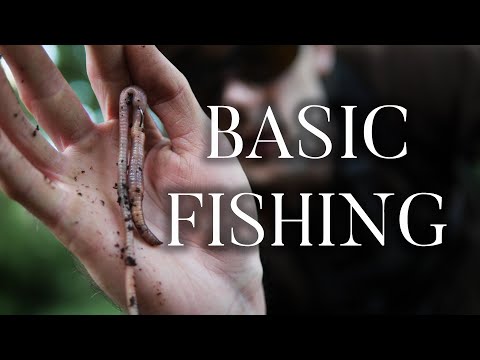 1 WORM 1 HOOK FISHING!!! Basic Fishing Rig Catches NICE PERCH From The River - UK Coarse Fishing