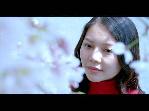 映画『COME & GO カム・アンド・ゴー』予告編