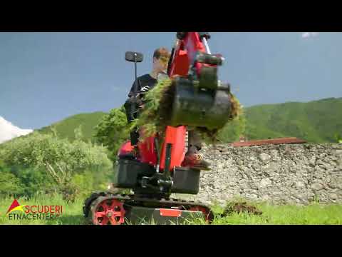 Mini escavatore BlueBird Mex600