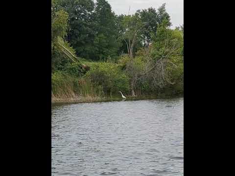 Fall River Overture =  Robert Sheldon