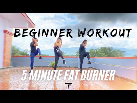 5 MINUTE FULL BODY WORKOUT FOR BEGINNERS | No Equipment