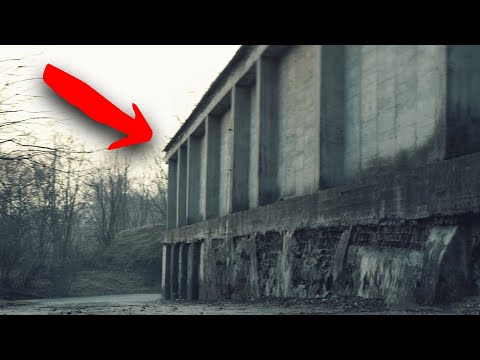 Witness21  2022 01 30