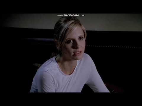 Buffy the Vampire Slayer 7x20 "Touched” - “Could you stay here?”